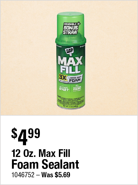 12 Oz. Max Fill Foam Sealant